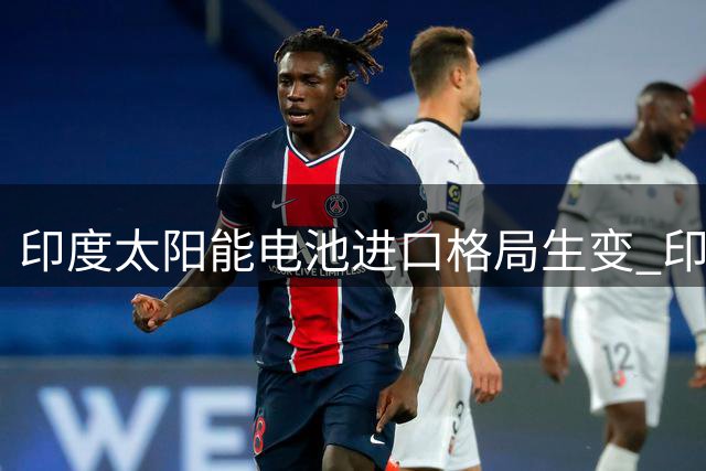 印度太阳能电池进口格局生变 印尼跃升最大供应国